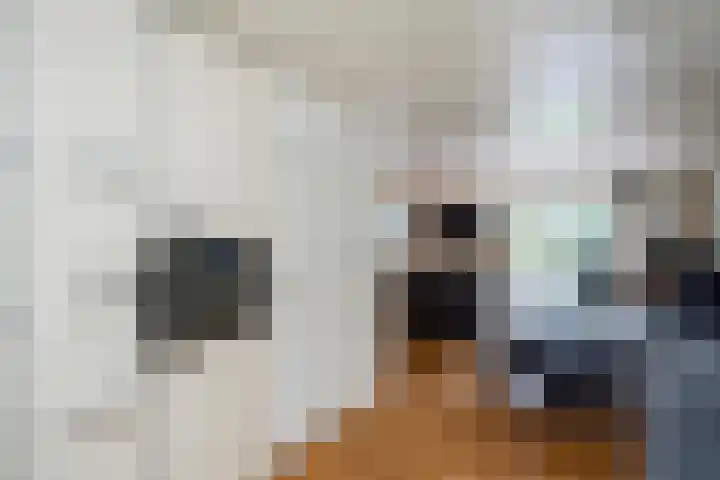Zoom 21 Zwolle thumbnail 11