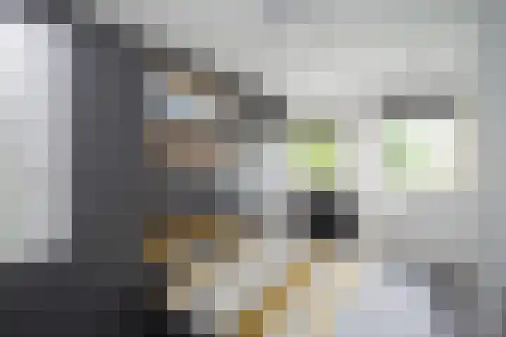 Zoom 21 Zwolle thumbnail 20