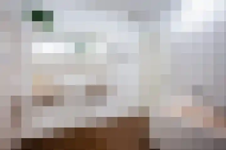 Zoom 21 Zwolle thumbnail 21
