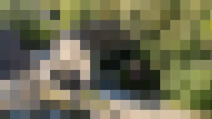 Zoom 21 Zwolle thumbnail 32