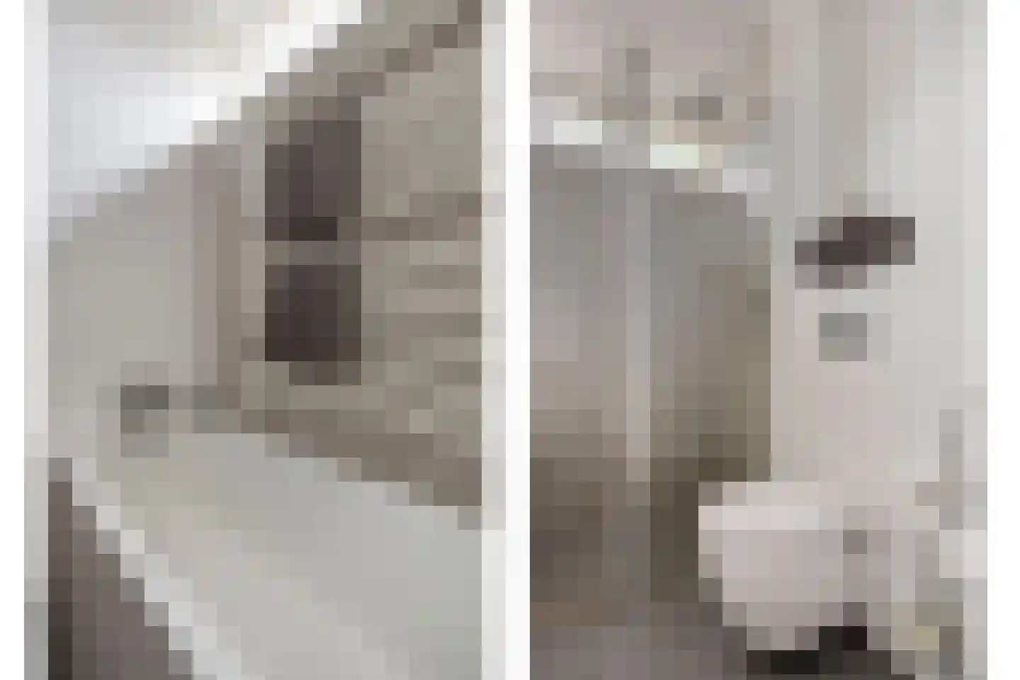 Zoom 25 Zwolle thumbnail 23
