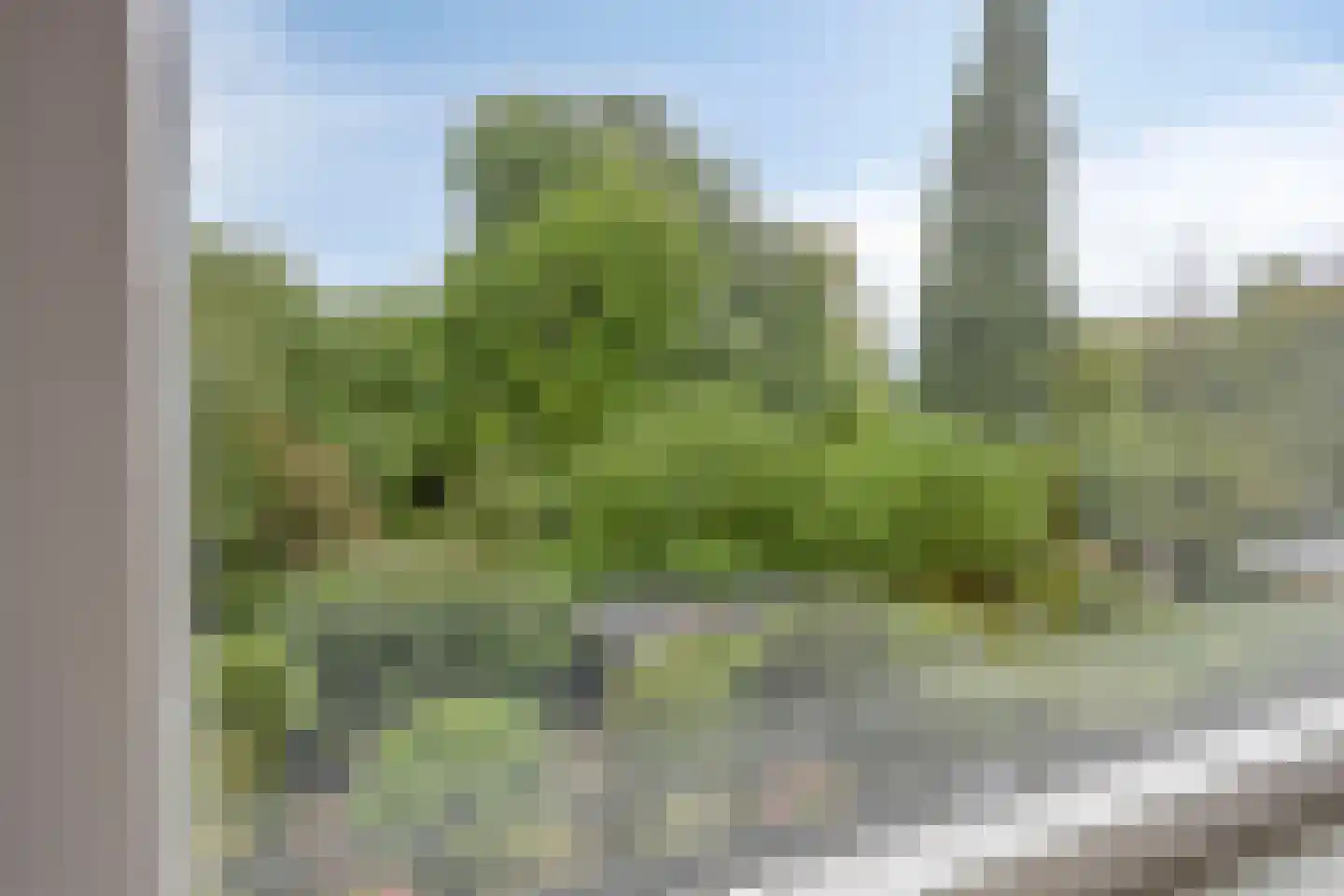 Zoom 25 Zwolle thumbnail 32