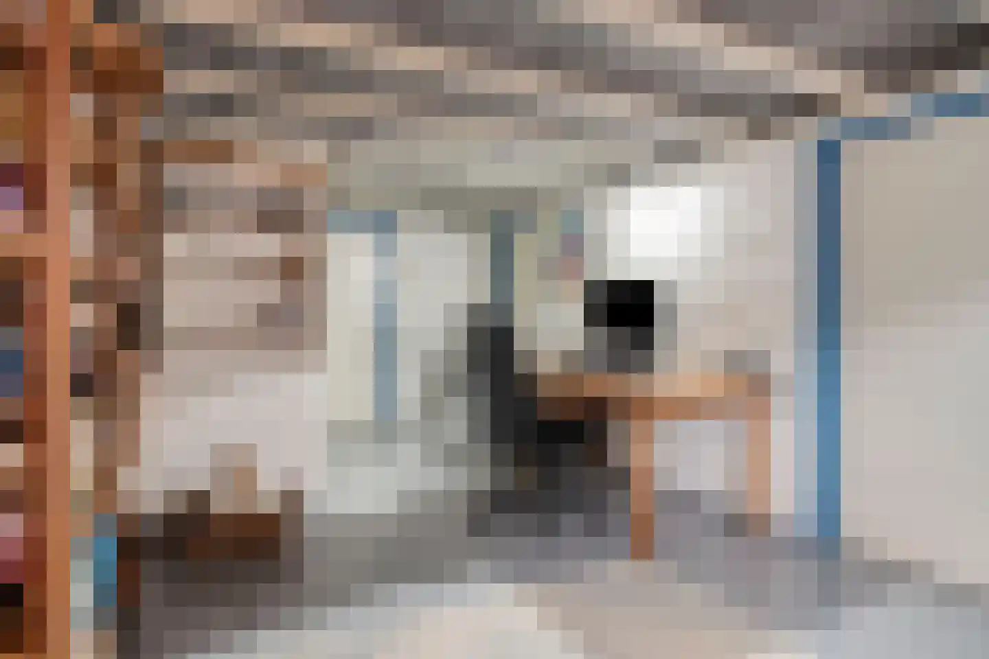 Zoom 25 Zwolle thumbnail 34
