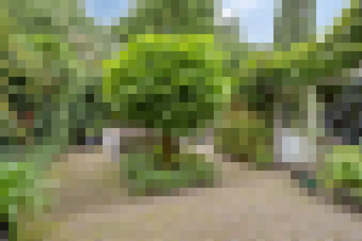 Zoom 25 Zwolle thumbnail 38
