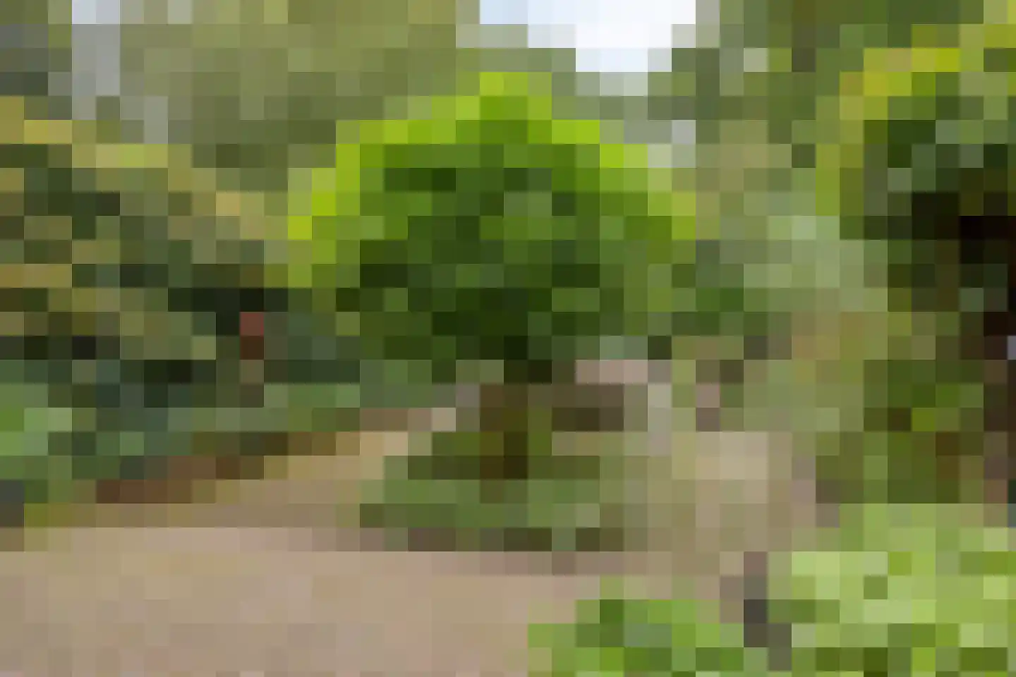 Zoom 25 Zwolle thumbnail 39