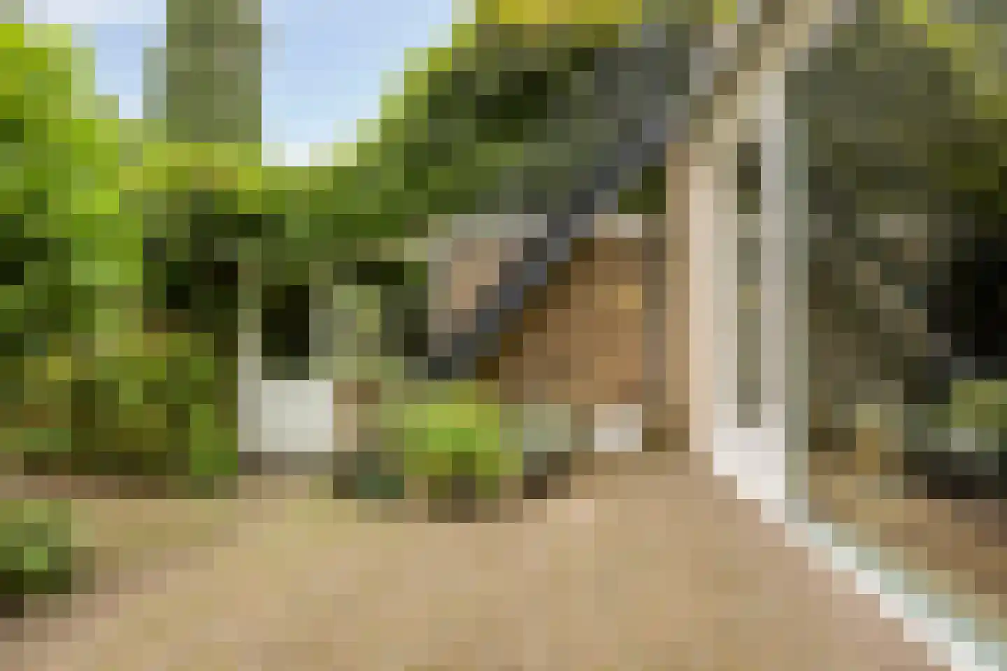 Zoom 25 Zwolle thumbnail 40