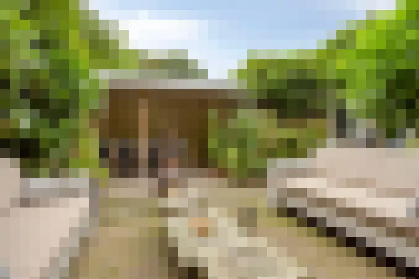 Zoom 25 Zwolle thumbnail 41