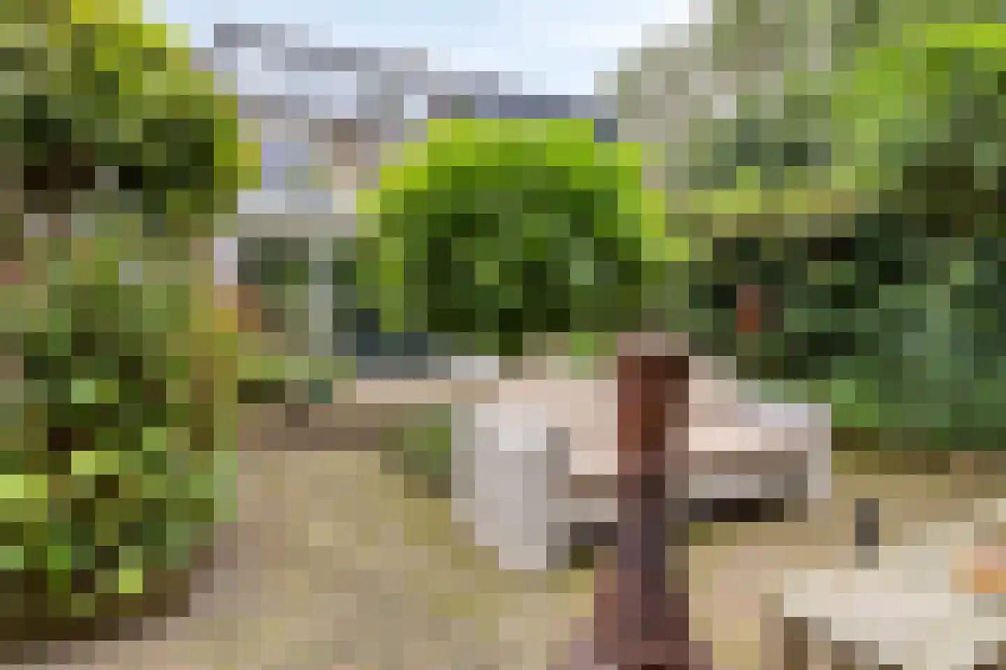 Zoom 25 Zwolle thumbnail 42