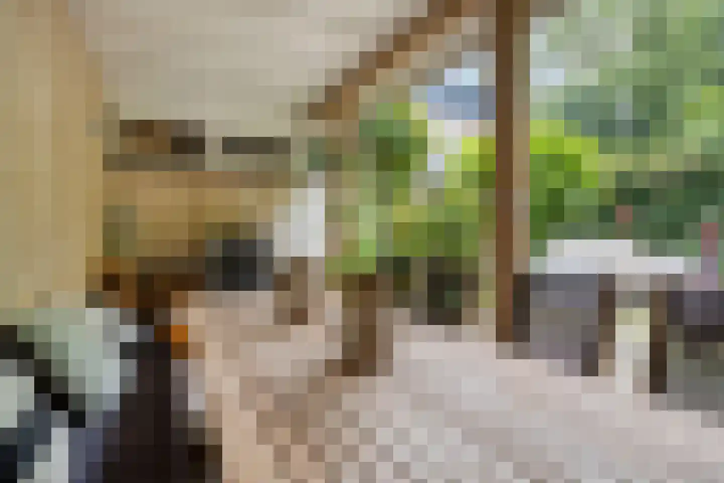 Zoom 25 Zwolle thumbnail 43