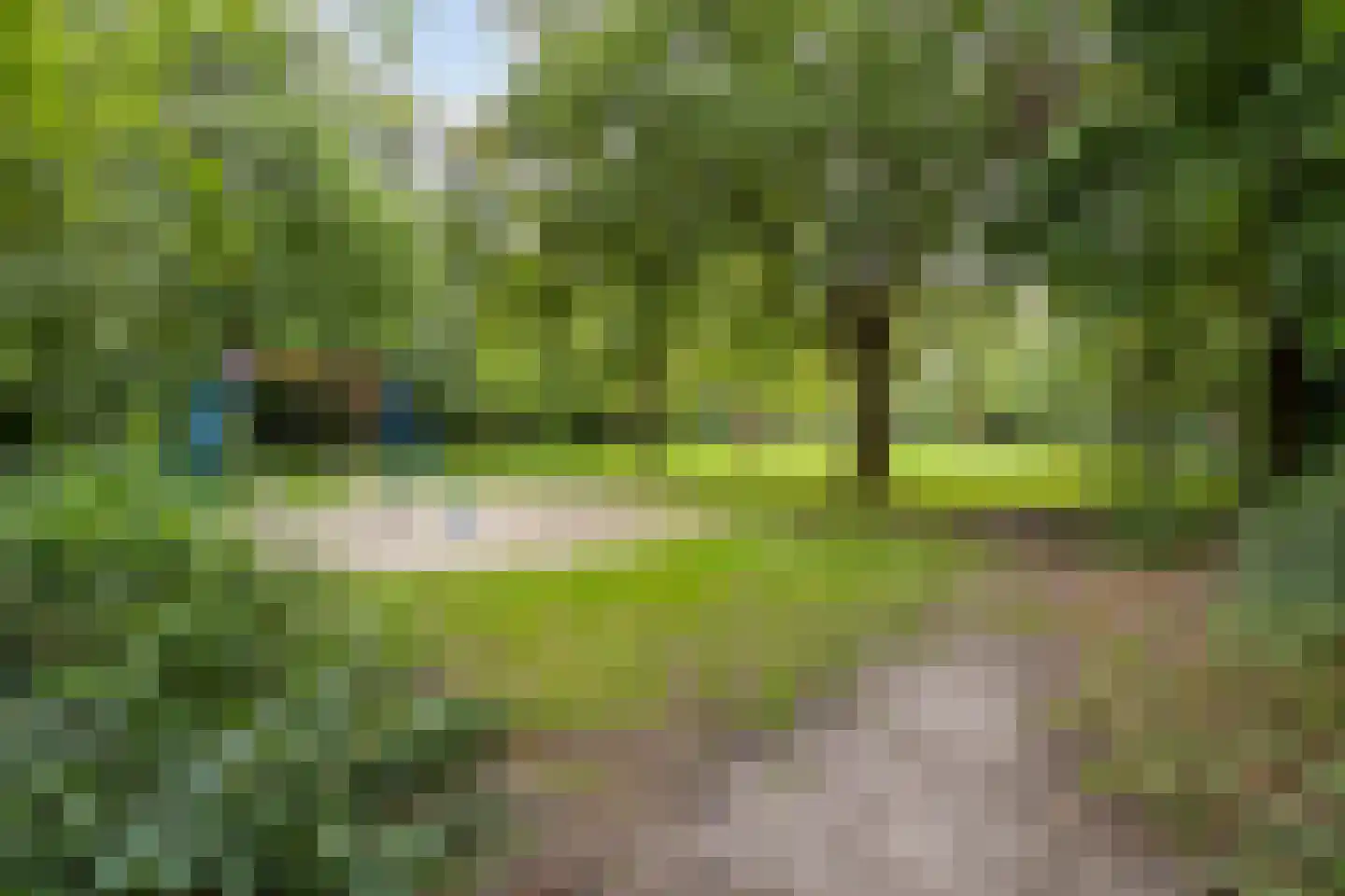 Zoom 25 Zwolle thumbnail 45