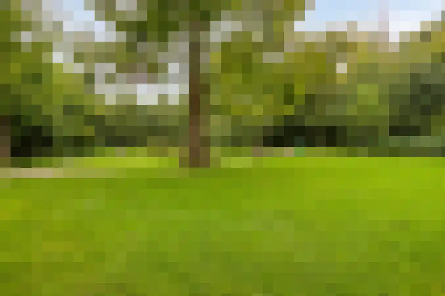 Zoom 25 Zwolle thumbnail 46