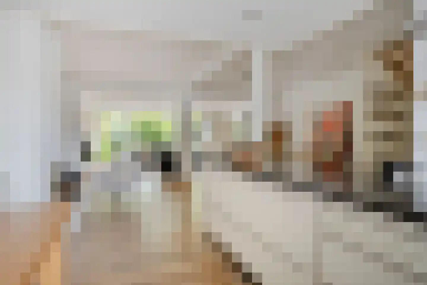 Zoom 25 Zwolle thumbnail 7