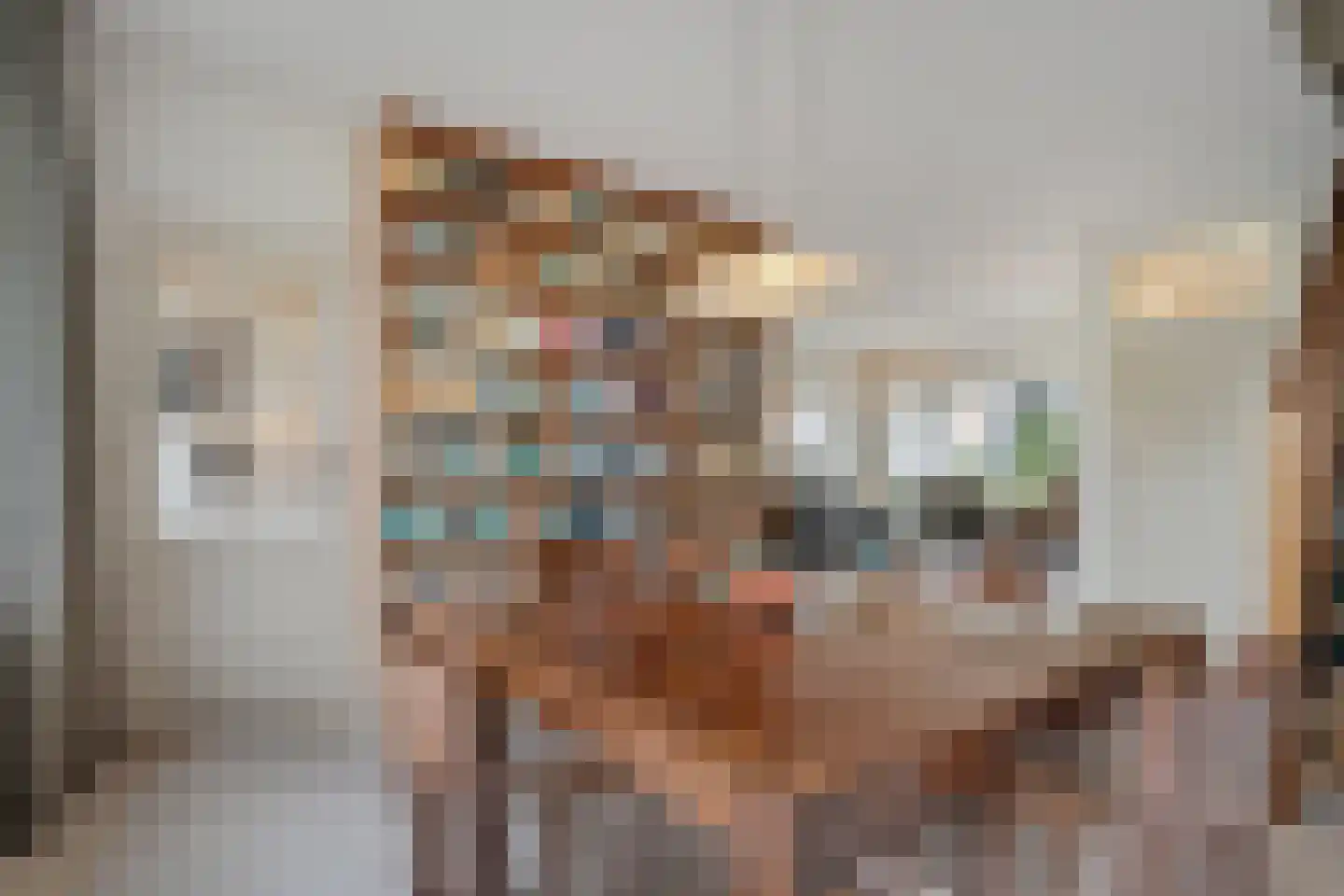 Zoom 3 Zwolle thumbnail 15
