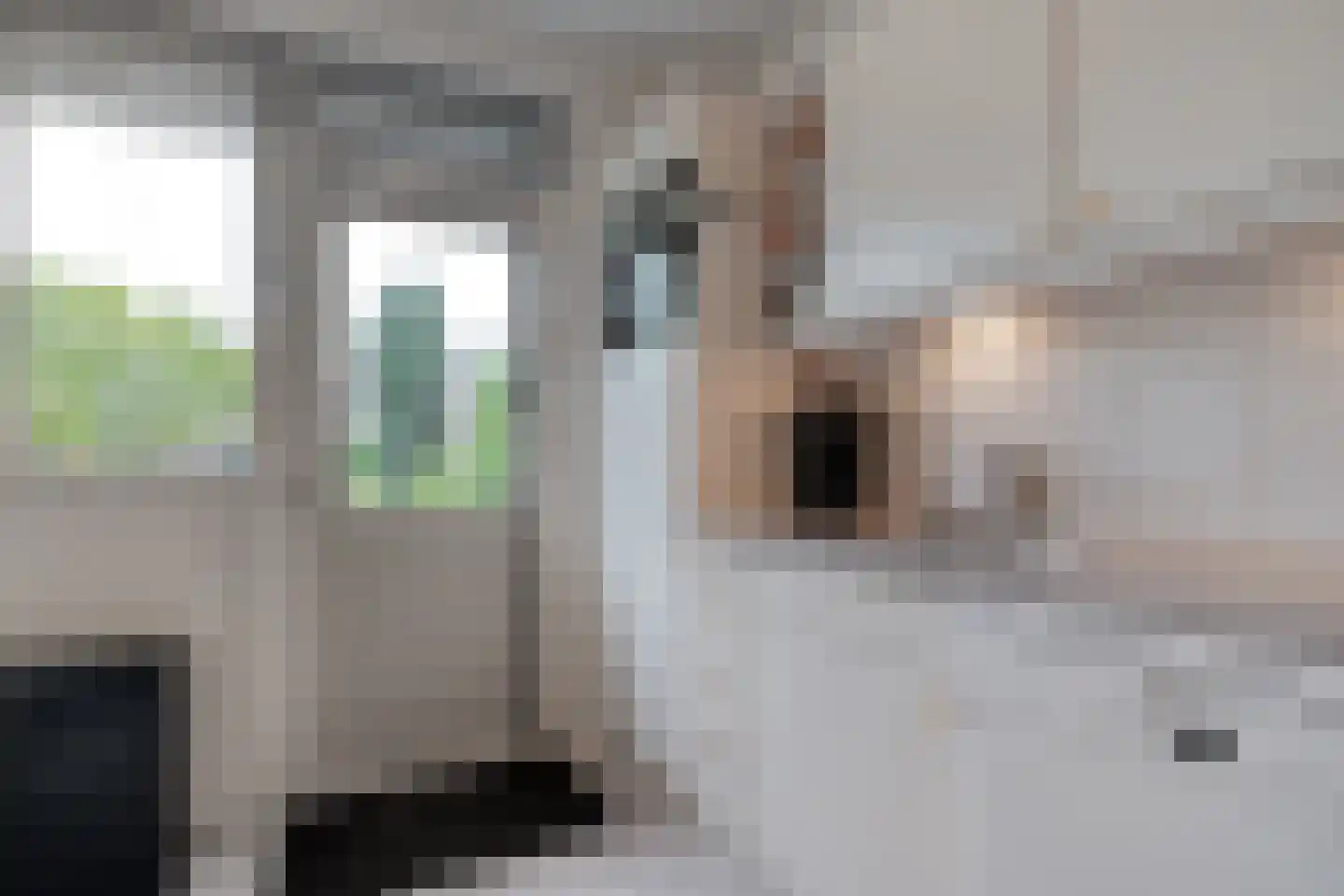 Zoom 3 Zwolle thumbnail 19
