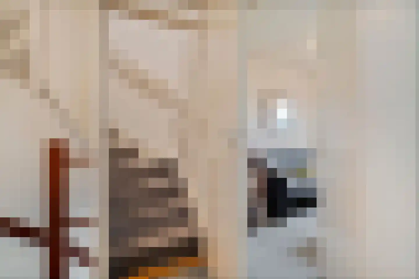 Zoom 3 Zwolle thumbnail 20