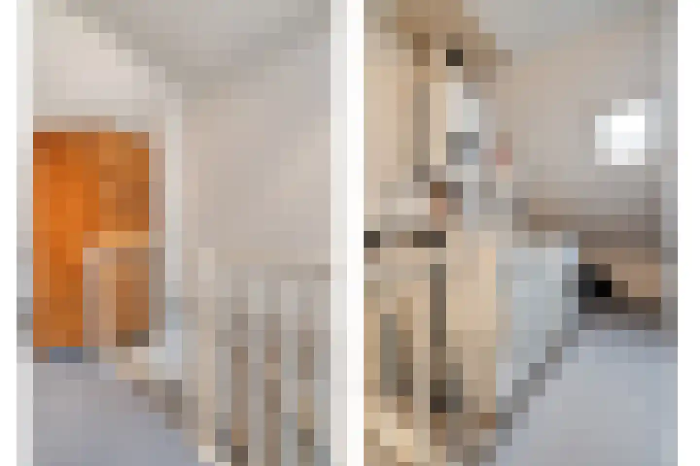 Zoom 3 Zwolle thumbnail 31