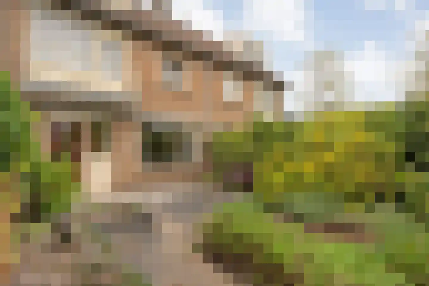 Zoom 3 Zwolle thumbnail 34