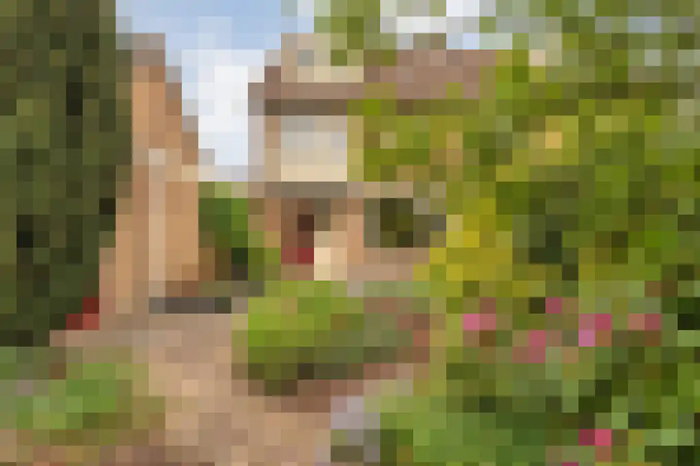 Zoom 3 Zwolle thumbnail 4