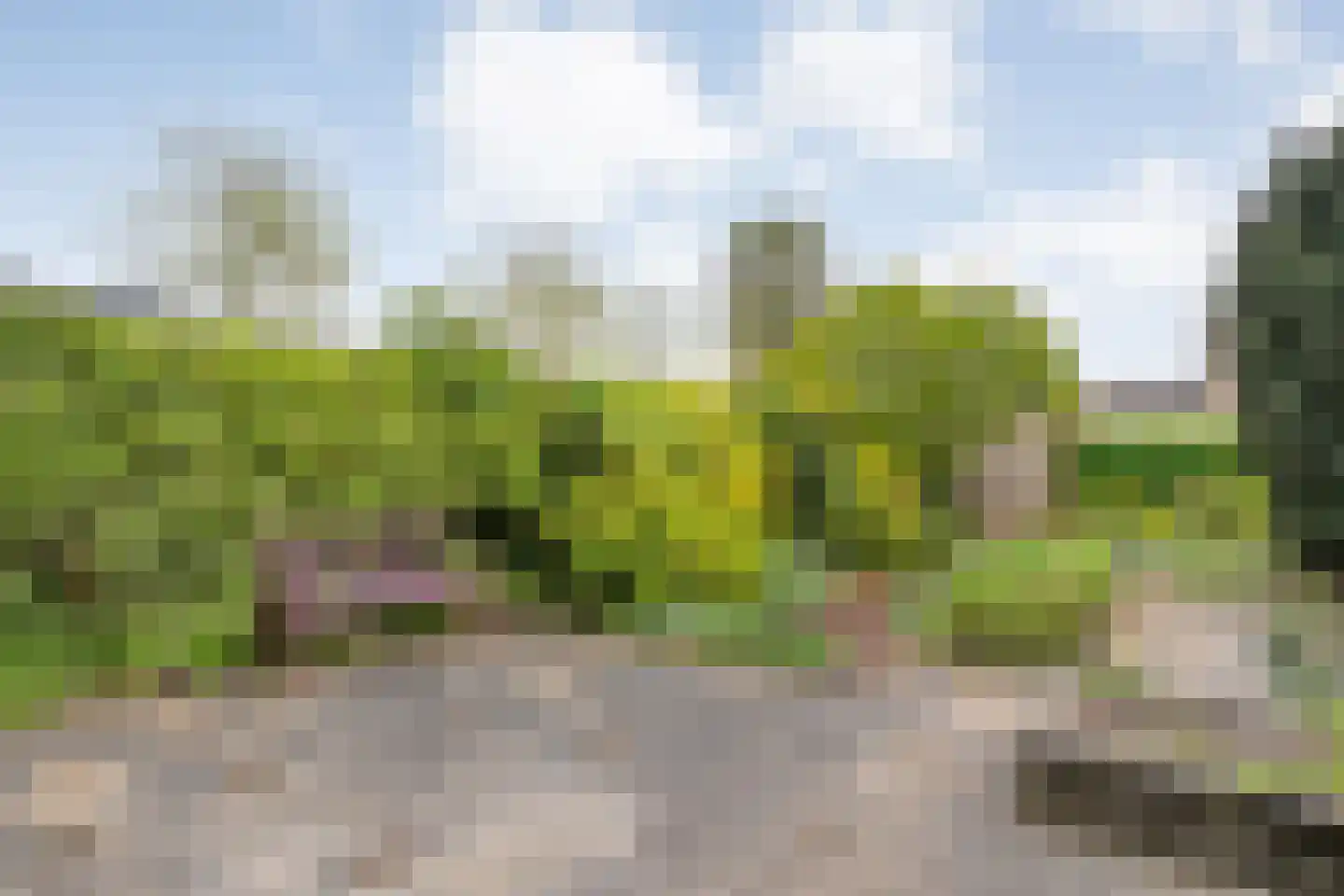 Zoom 3 Zwolle thumbnail 42