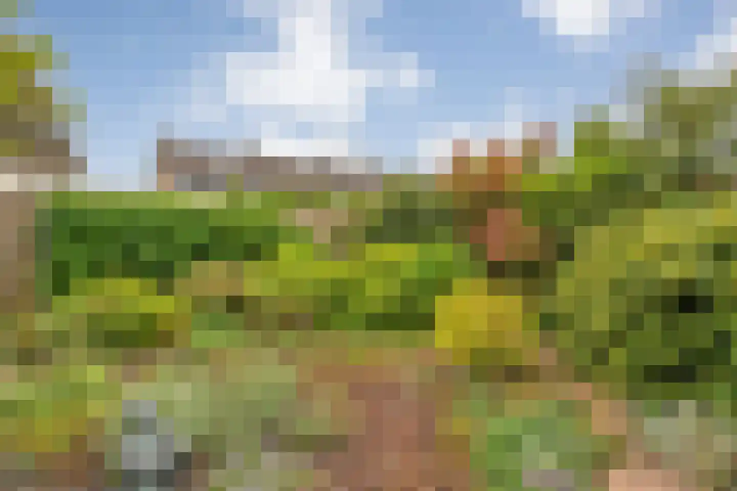 Zoom 3 Zwolle thumbnail 43