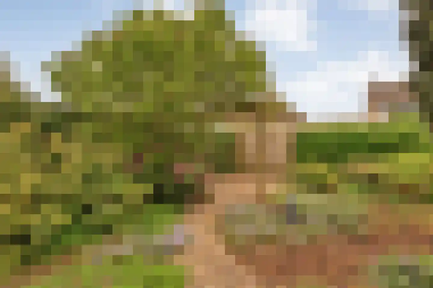 Zoom 3 Zwolle thumbnail 44