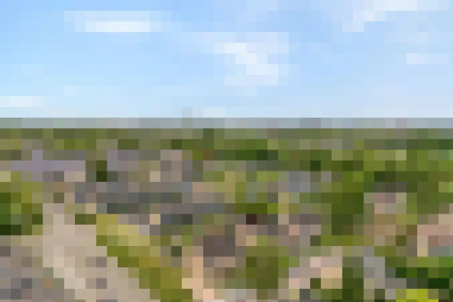 Zoom 3 Zwolle thumbnail 46