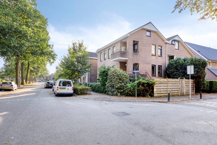 Zoom 45 en Oisterwijk foto