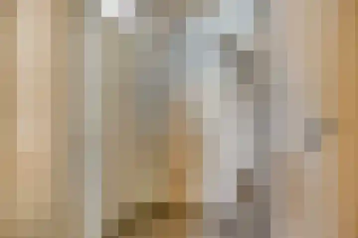 Zoom 45 Oisterwijk thumbnail 11