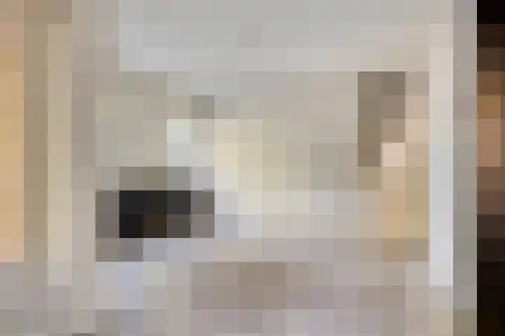 Zoom 45 Oisterwijk thumbnail 16