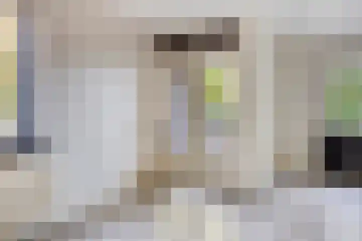 Zoom 45 Oisterwijk thumbnail 23