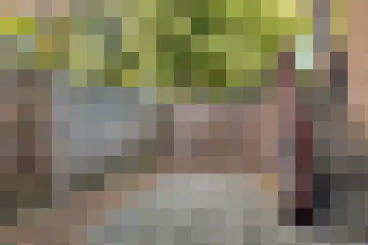Zoom 45 Oisterwijk thumbnail 35