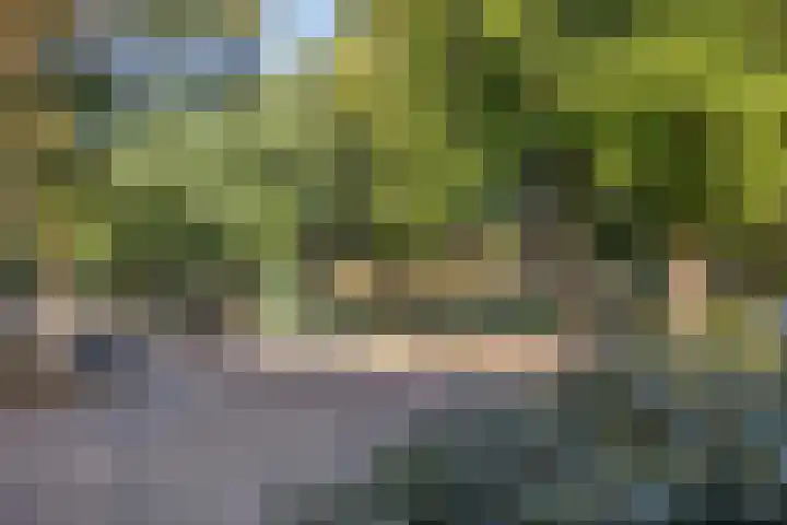 Zoom 45 Oisterwijk thumbnail 38