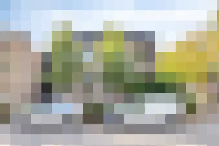 Zoom 45 Oisterwijk thumbnail 41