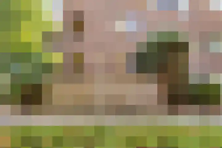 Zoom 45 Oisterwijk thumbnail 42