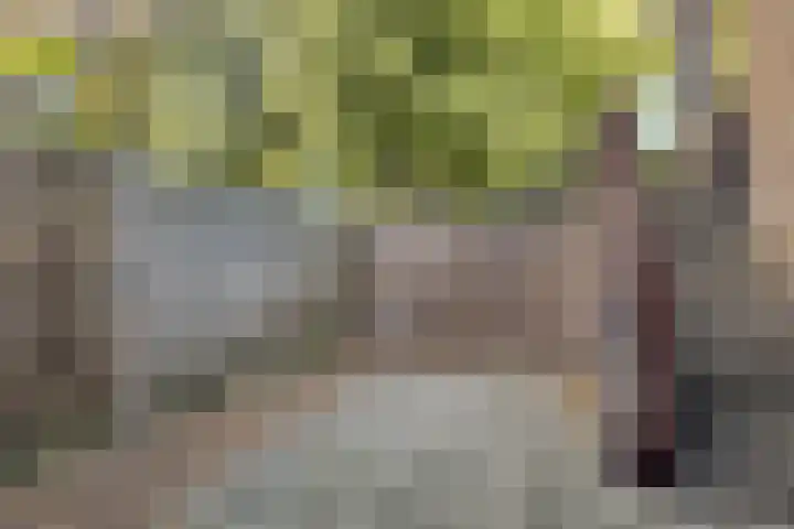 Zoom 45 Oisterwijk thumbnail 5