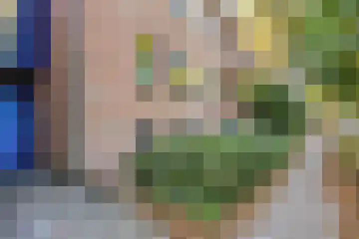 Zoom 45 Oisterwijk thumbnail 7