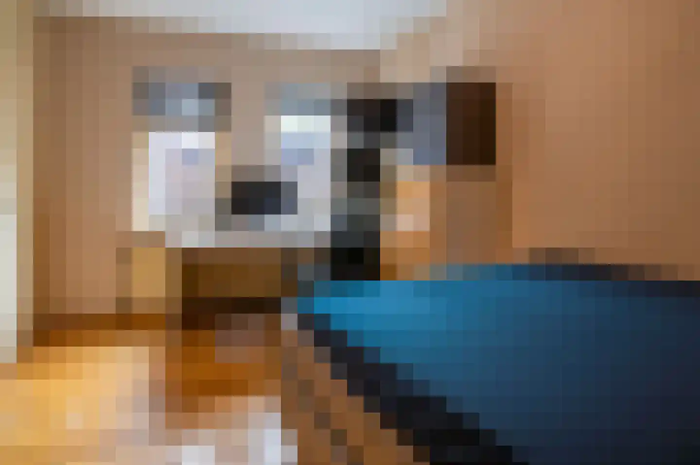Zoom 47 Oisterwijk thumbnail 11
