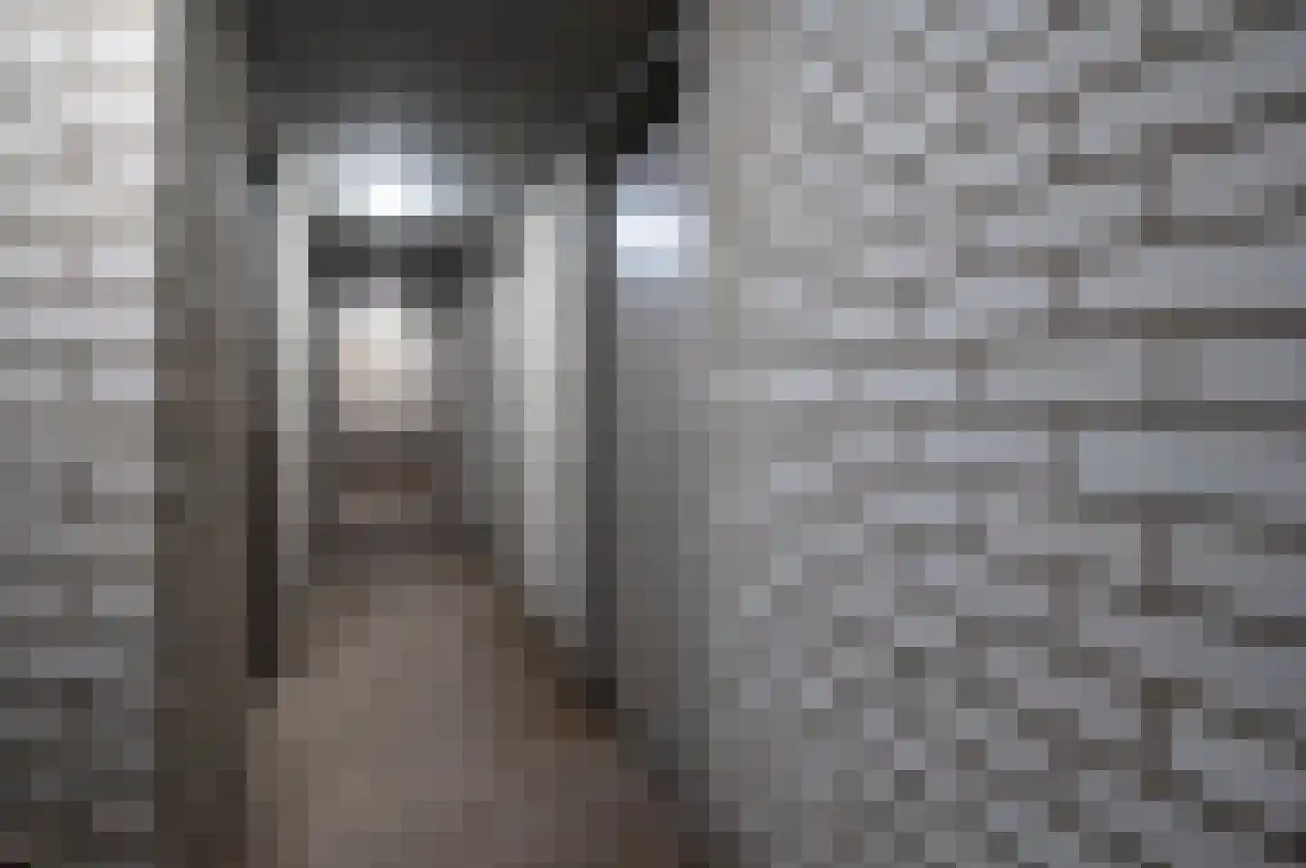 Zoom 47 Oisterwijk thumbnail 21
