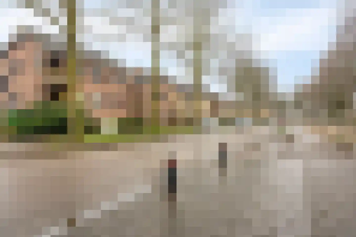 Zoom 57 Oisterwijk thumbnail 21