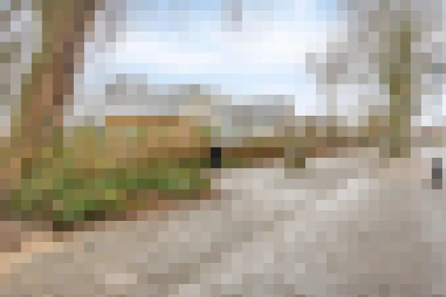Zoom 57 Oisterwijk thumbnail 22
