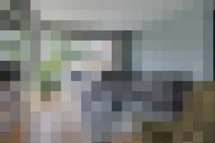 Zoom 6 Surhuisterveen thumbnail 10