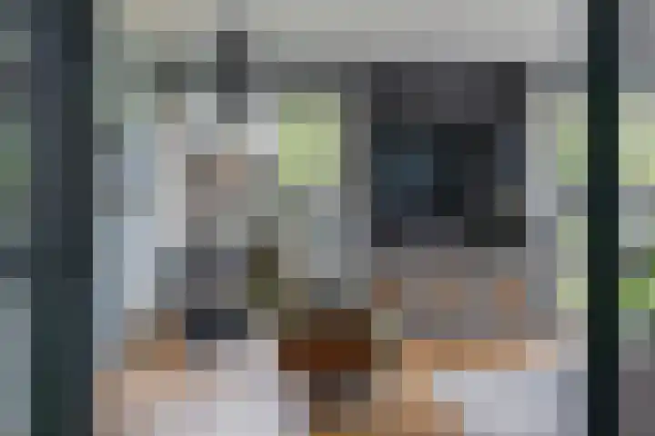 Zoom 6 Surhuisterveen thumbnail 11