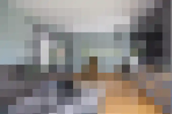 Zoom 6 Surhuisterveen thumbnail 12