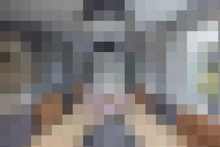 Zoom 6 Surhuisterveen thumbnail 13