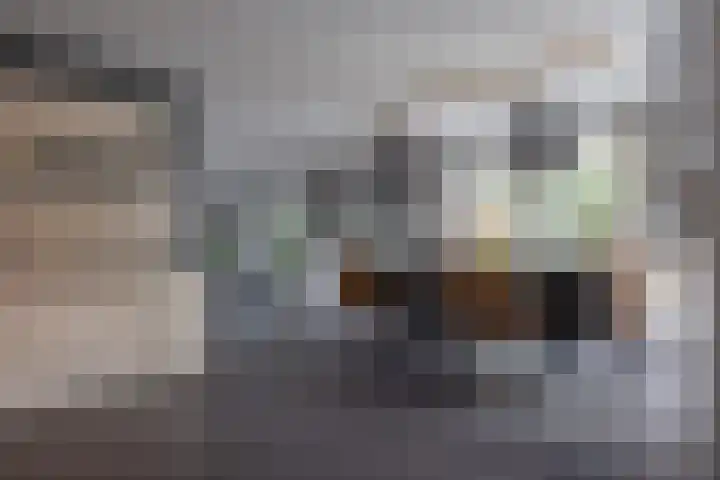 Zoom 6 Surhuisterveen thumbnail 15