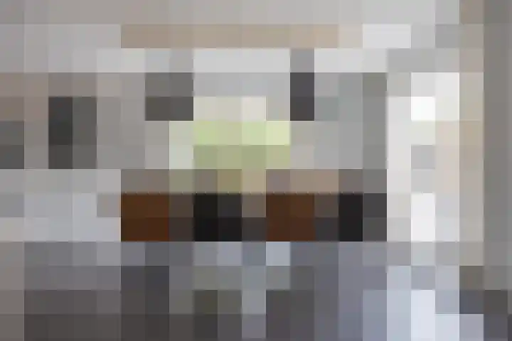 Zoom 6 Surhuisterveen thumbnail 17