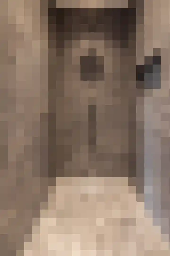 Zoom 6 Surhuisterveen thumbnail 32
