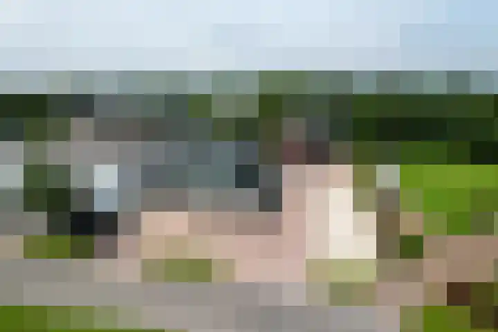 Zoom 6 Surhuisterveen thumbnail 4
