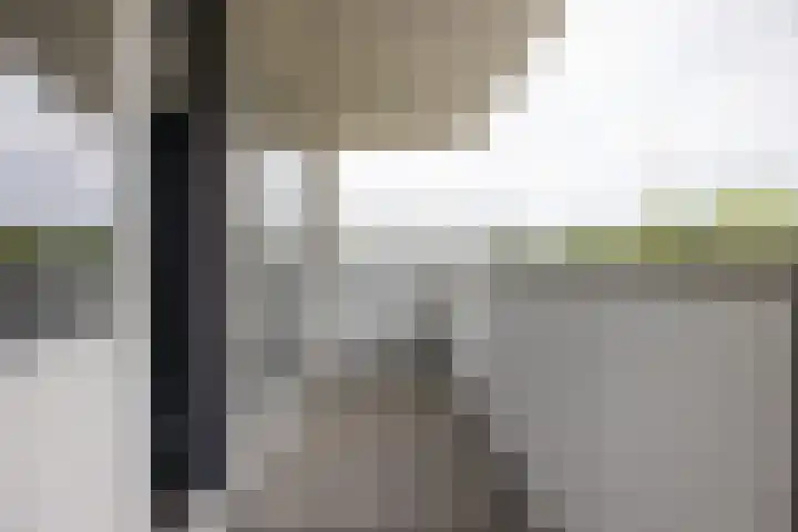 Zoom 6 Surhuisterveen thumbnail 40