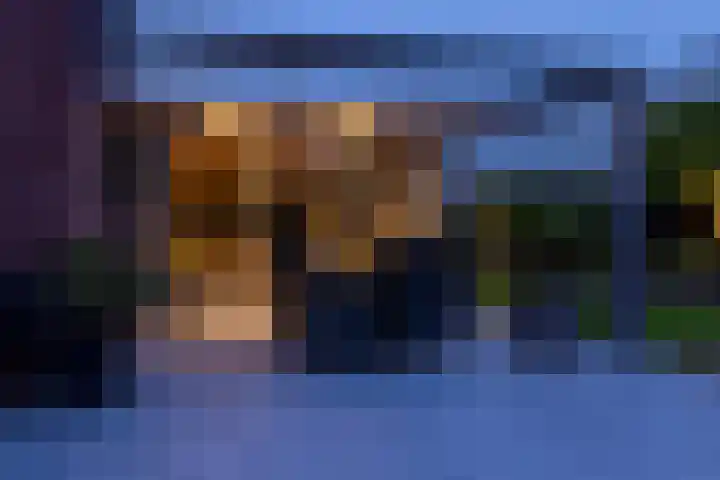 Zoom 6 Surhuisterveen thumbnail 45